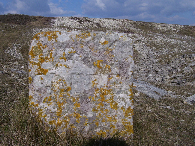 Glebe stone 3